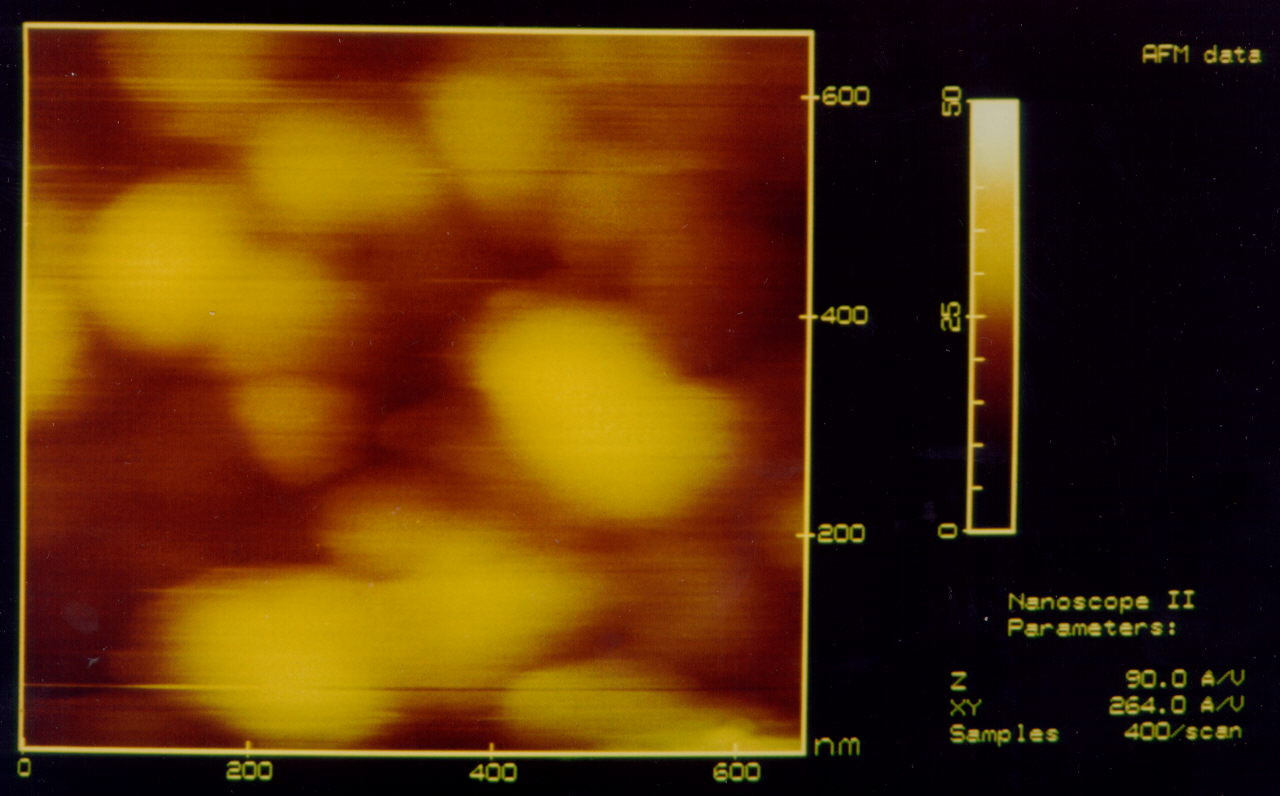 Liposomes imaged in water  Liposomes prepared from egg-Phosphatidylcholine.  Liposomes were prepared on a carbon coated copper grid and imaged in water in a liquid cell.