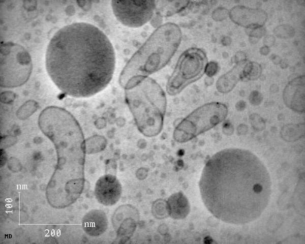 q10_emulsion_cryo_sit1
