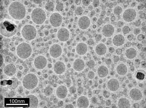 q10_emulsion_cryo_sit2