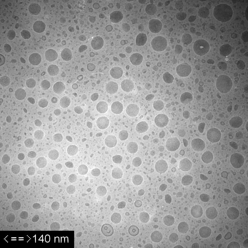 Trimyristin emulsion   (Cryo-TEM)