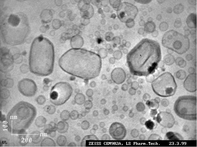 dmpc_liposome_cryo1