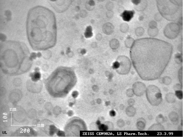 dmpc_liposome_cryo2