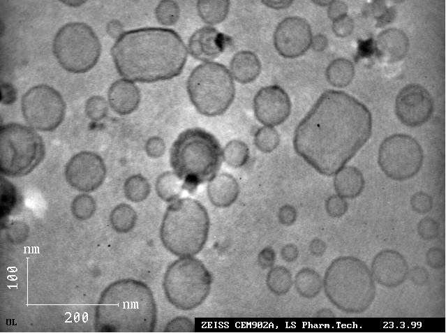 dmpc_liposome_cryo3