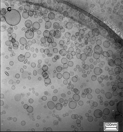 pc_liposome_cryo_scientia1