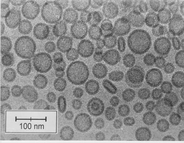 pc_liposome_cryo_scientia2