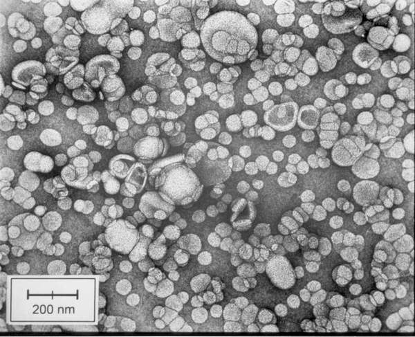 pc_liposome_ns_scientia