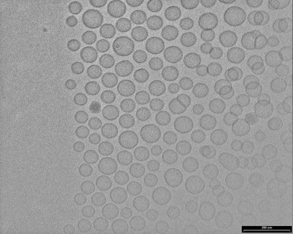 soy_pc_liposomes_1