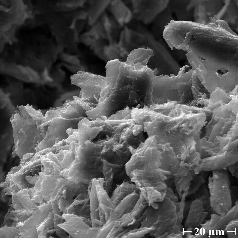 SEM Micrograph of Microcrystalline Cellulose