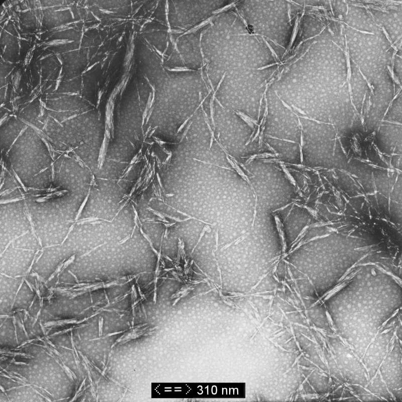cellulose_2