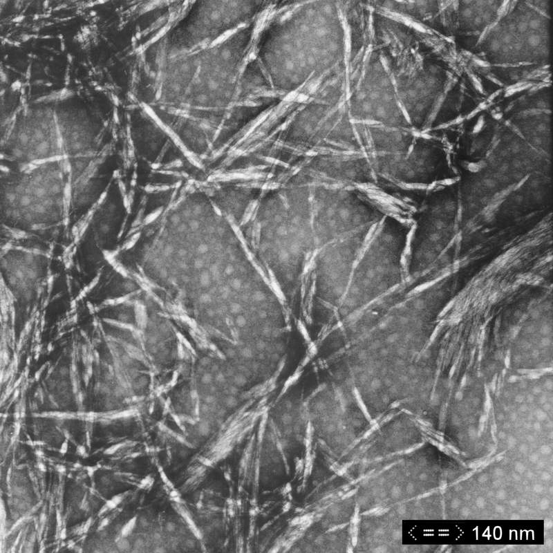 cellulose_3