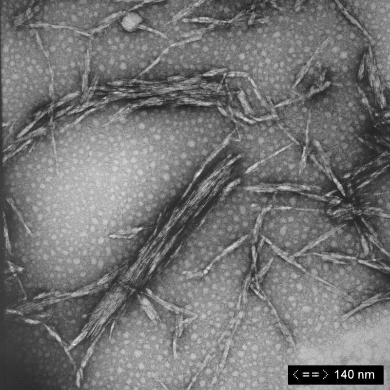 cellulose_4