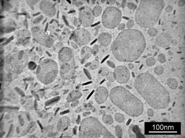 sln_cryo_tem1