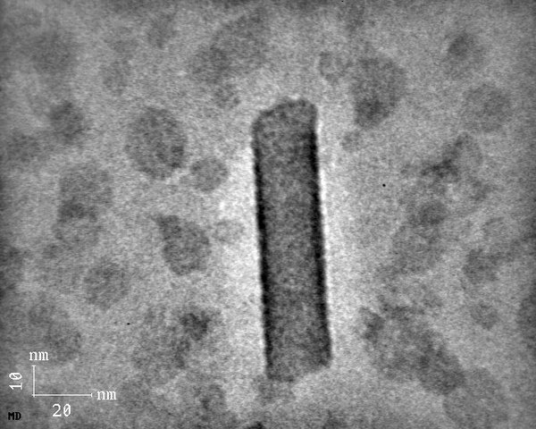 sln_cryo_tem2