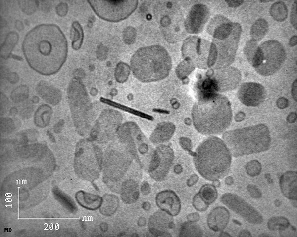 sln_cryo_tem4